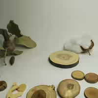 بیس چوبی ، اسلایس ، برش کالباسی ،  زیر لیوانی ،استند چوب طبیعی زیتون تلخ  قطر 6تا7سانت و ضخامت 7میل 