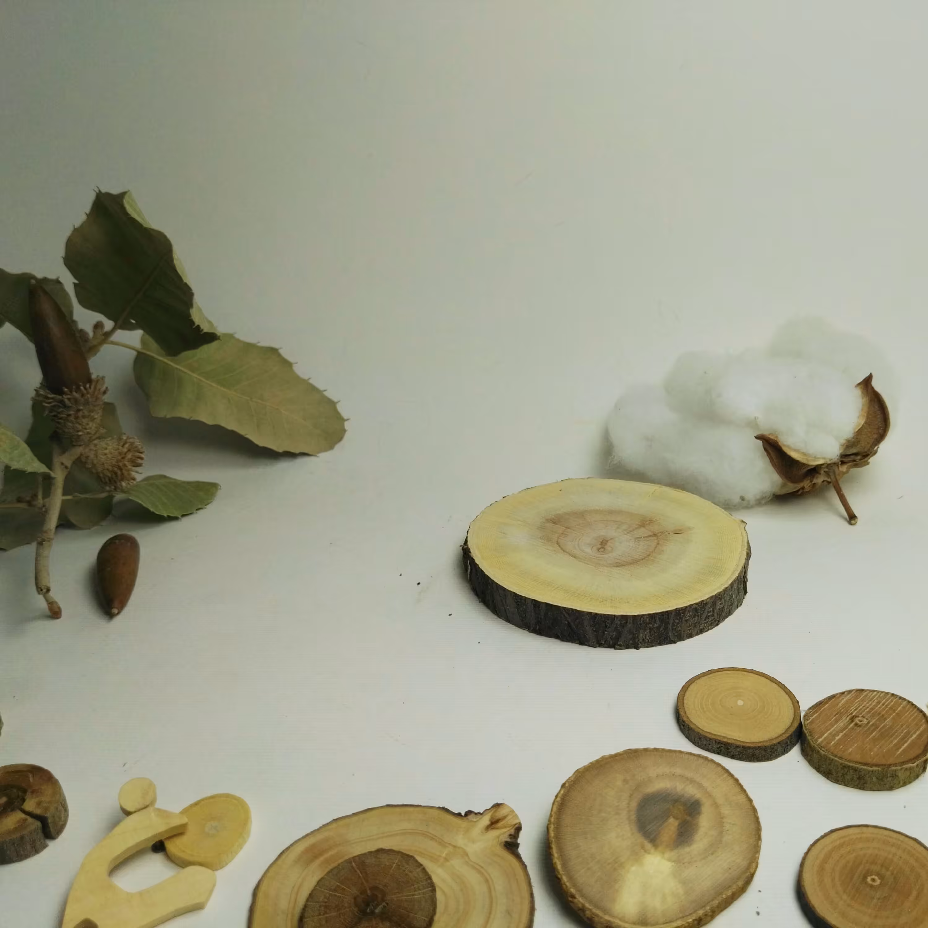 بیس چوبی ، اسلایس ، برش کالباسی ،  زیر لیوانی ،استند چوب طبیعی زیتون تلخ  قطر 6تا7سانت و ضخامت 7میل 