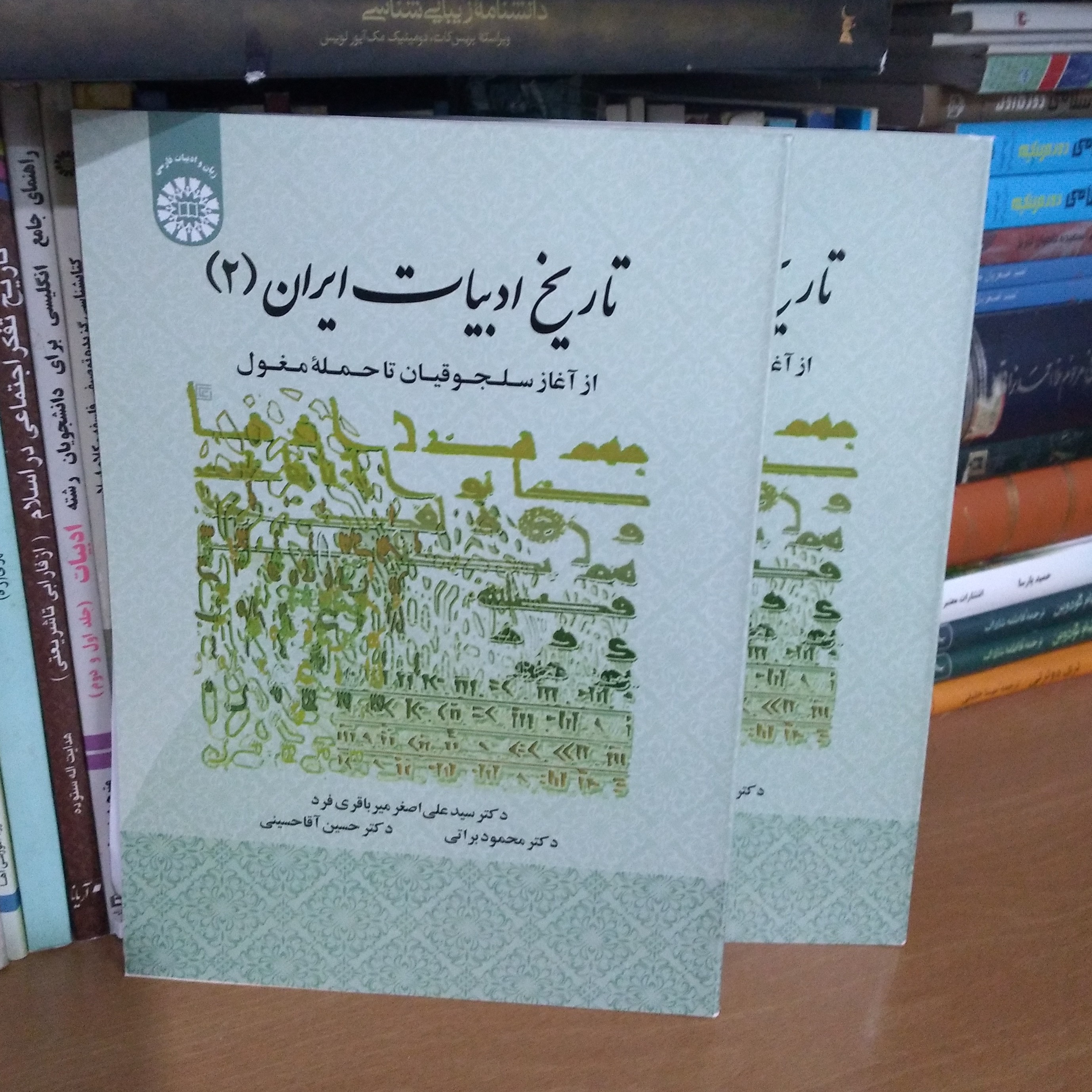 تاریخ ادبیات ایران 2 - از آغاز سلجوقیان تا حمله مغول