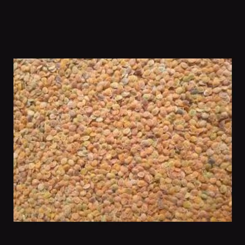 قدومه شیرازی اعلا و اصل