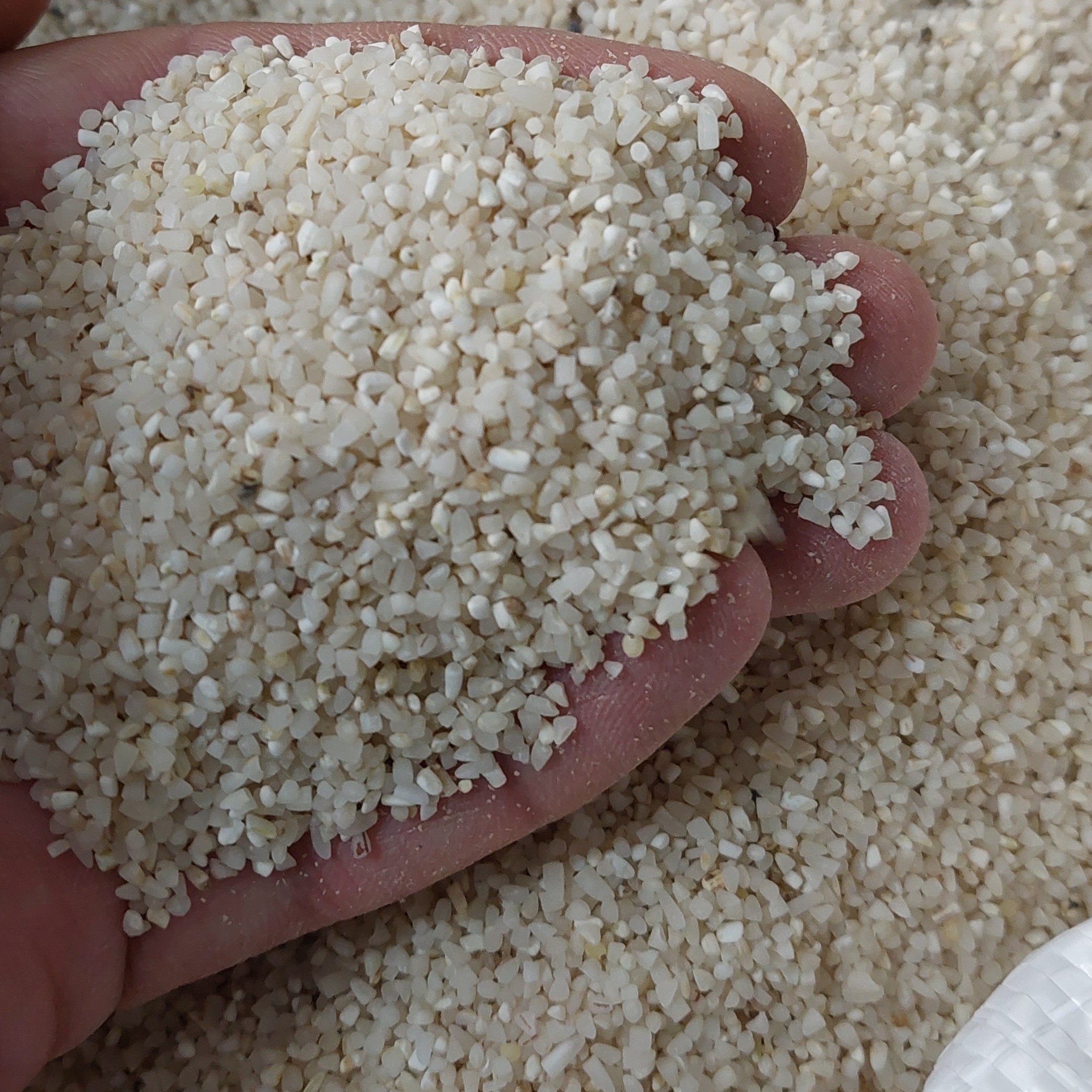 برنج ریز دانه طارم کیسه ده کیلویی 380 هزارتومان(ارسال رایگان)