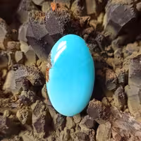 فیروزه نیشابوری F11