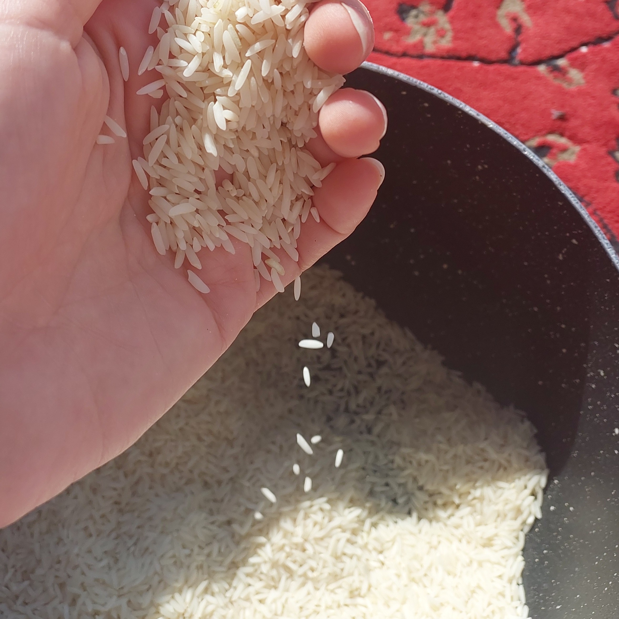 برنج طارم هاشمی گیلان ، 10 بسته 20 کیلویی ( ارسال با باربری و رایگان)