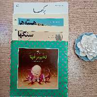 سری مجموعه آموزشی هنرهای دستی برگها سنگها هسته ها