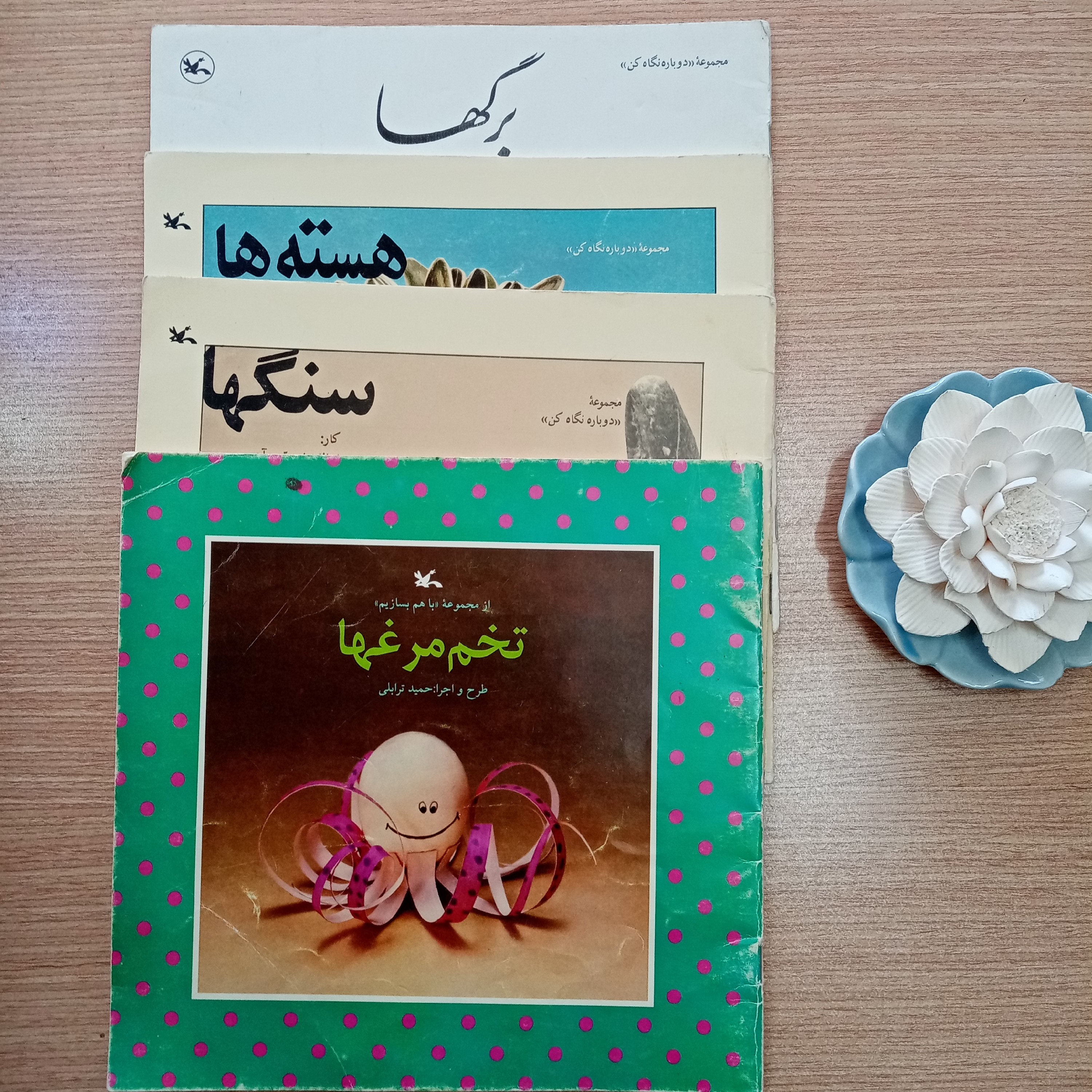 سری مجموعه آموزشی هنرهای دستی برگها سنگها هسته ها