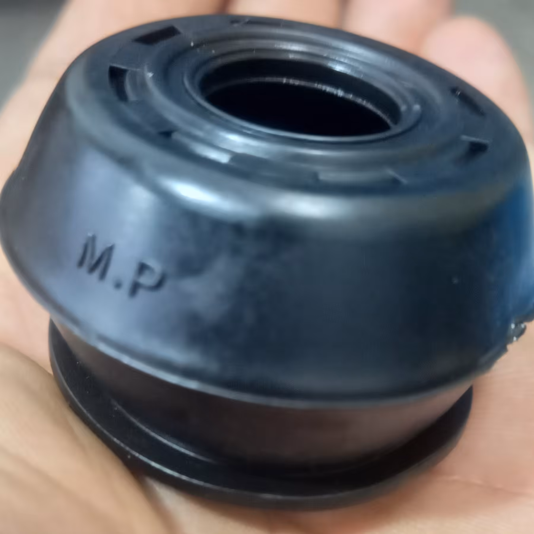 گردگیر چپقی نیسان