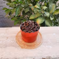 کاپ کیک شکلاتی