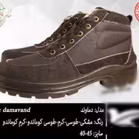 کفش کار و کوه دماوند
