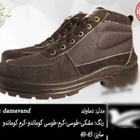 کفش کار و کوه دماوند