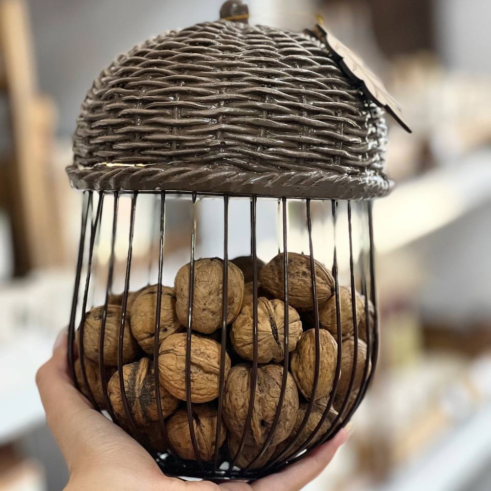  جای گردویی بلوط