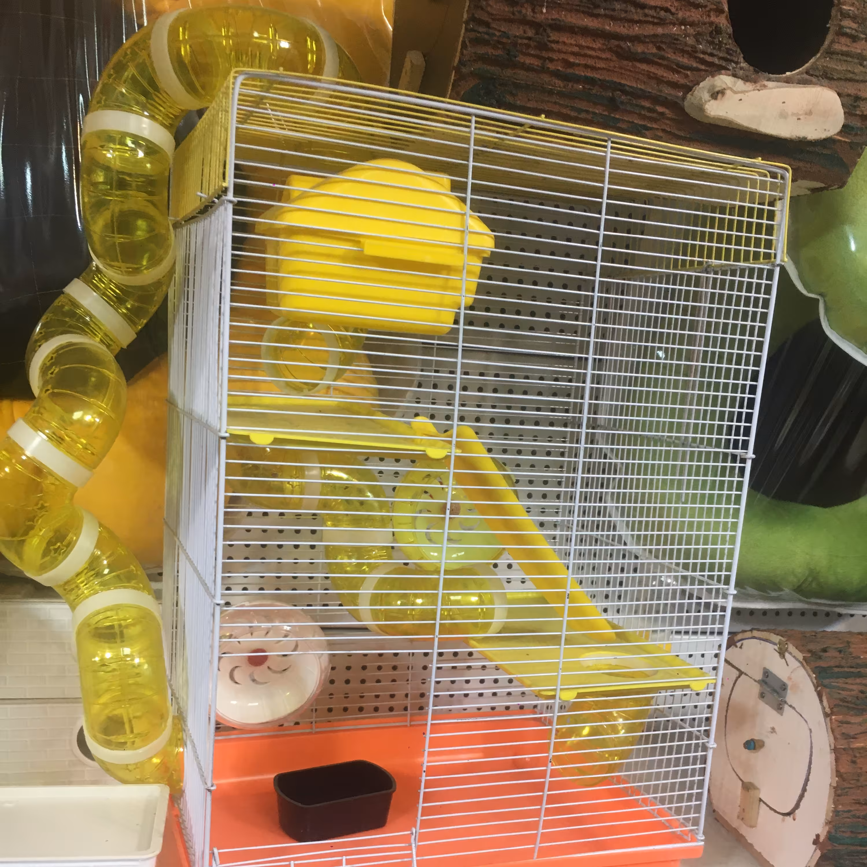 قفس و شهر بازی همستر