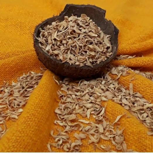 بهار نارنج صد گرمی امسالی و خوشرنگ