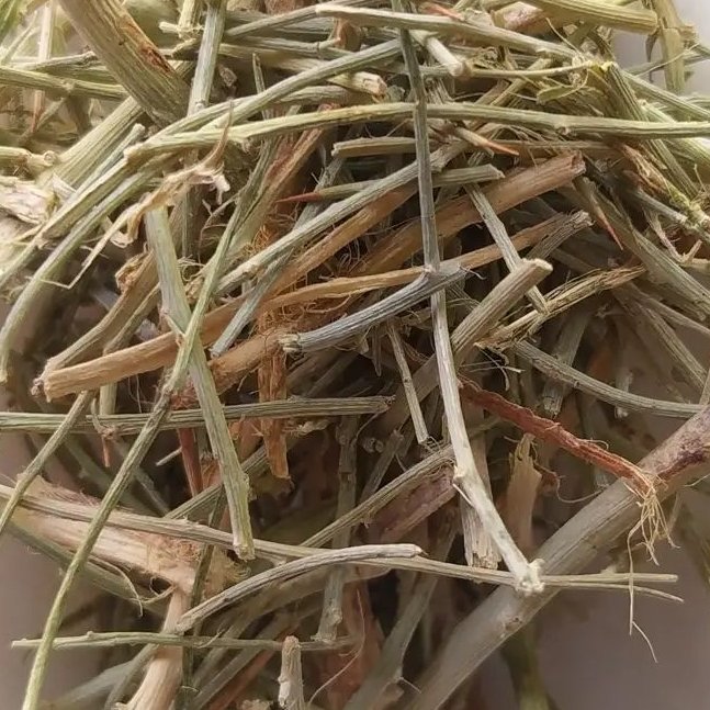 گیاه خار شتر خارشتر 500 گرمی 