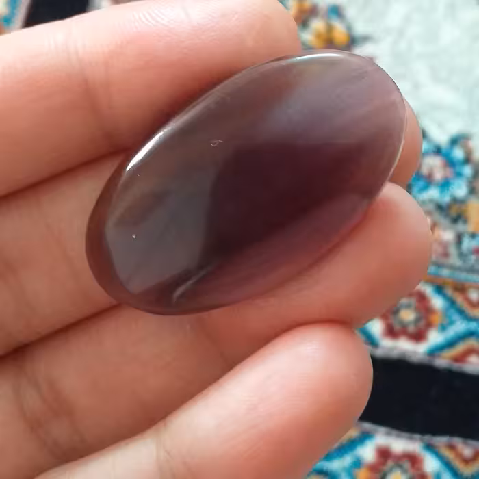 فلوریت مکزیک