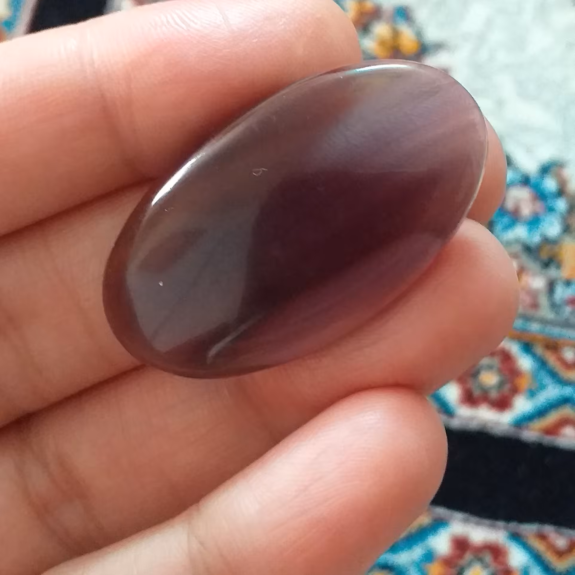 فلوریت مکزیک