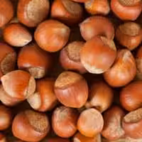 فندق پوست دار ( 500 گرمی )