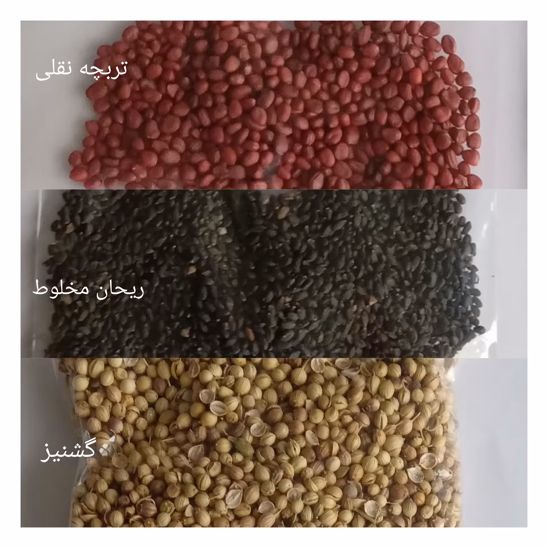بذر سبزیجات (ریحان مخلوط، گشنیز  تربچه نقلی) کشت خانگی