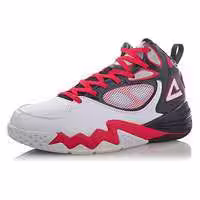 کفش بسکتبال پیک مخصوص حرفه ای ها peak  E43091A  shoes orginal