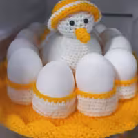 جا تخم مرغ ویژه عروس قلاب بافی