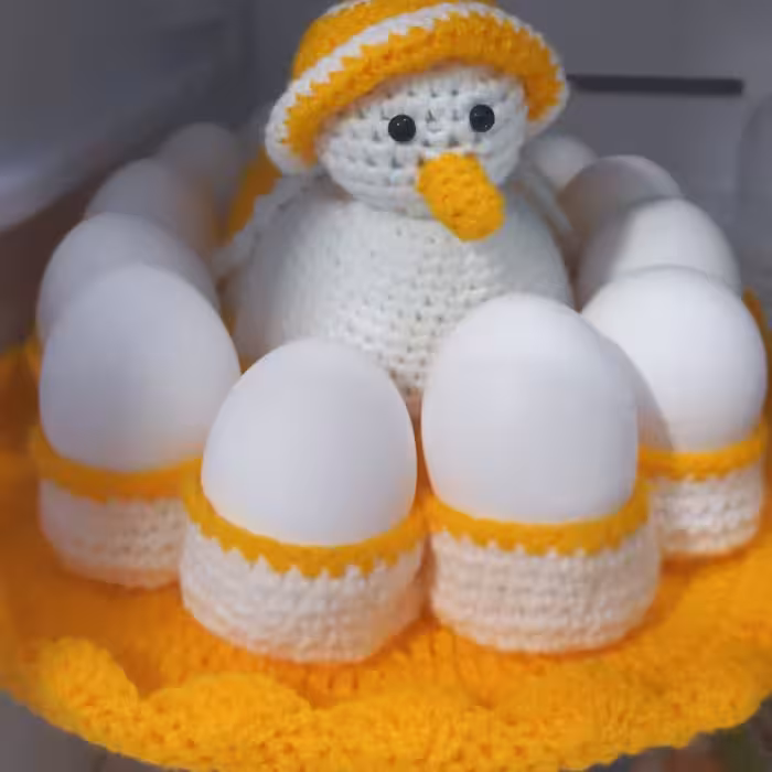 جا تخم مرغ ویژه عروس قلاب بافی