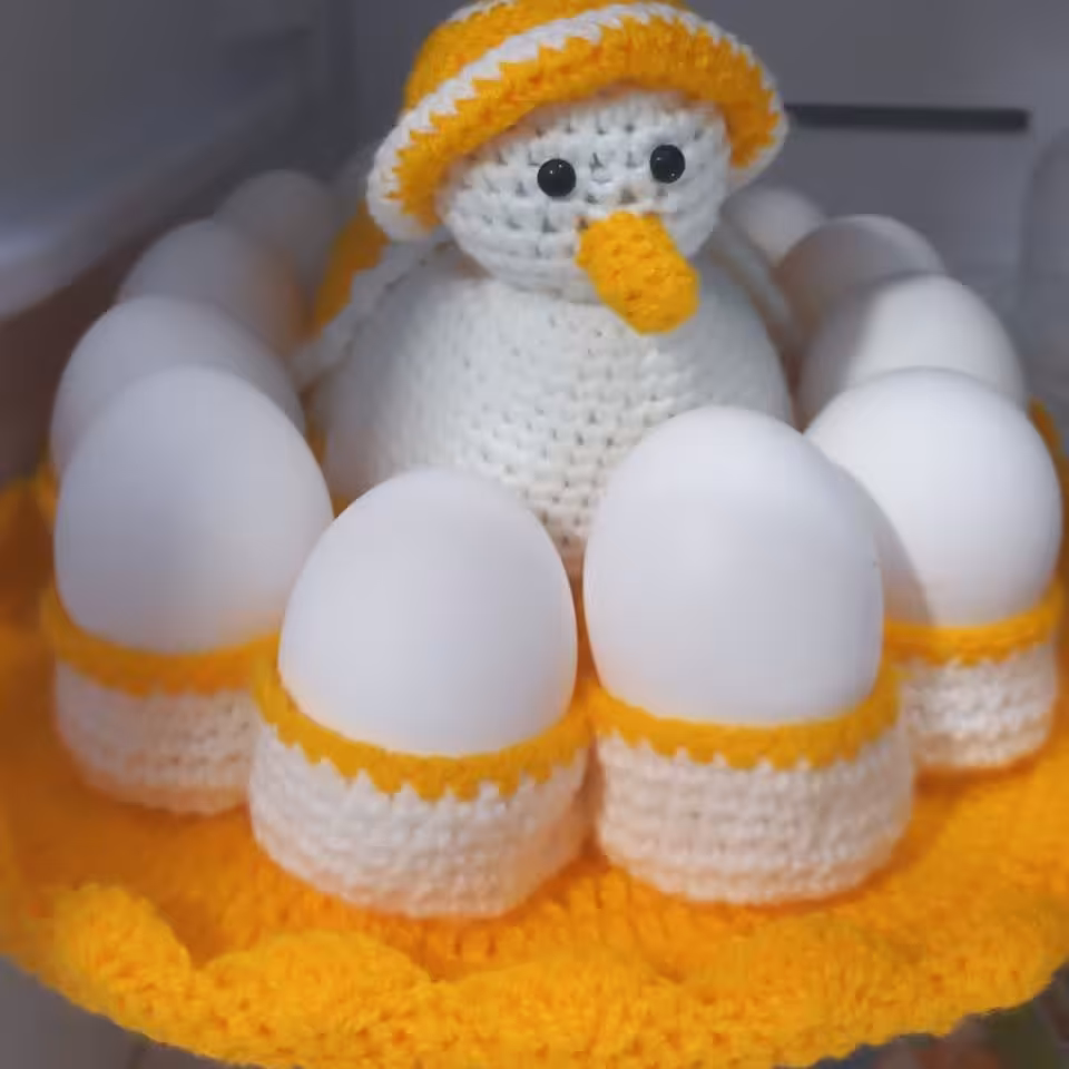 جا تخم مرغ ویژه عروس قلاب بافی