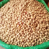 لوبیای چیتی درجه یک زود پخت ( یک کیلو گرم )