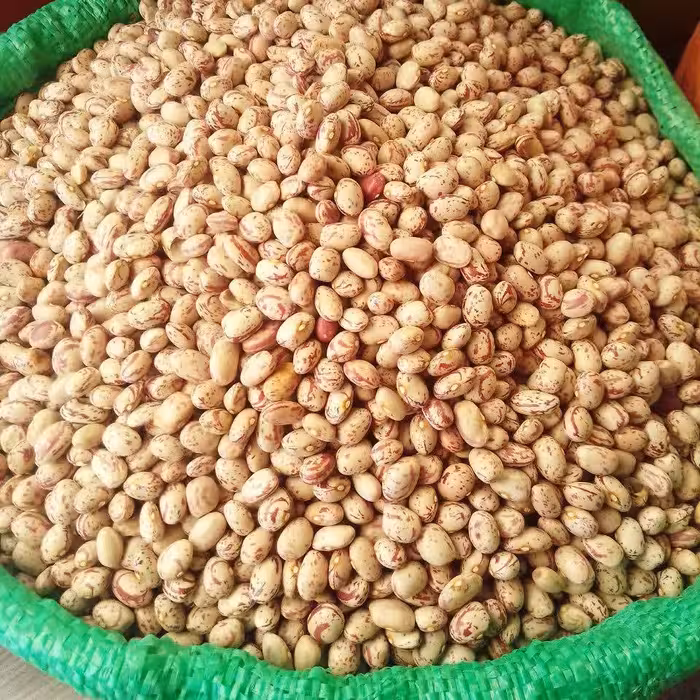 لوبیای چیتی درجه یک زود پخت ( یک کیلو گرم )