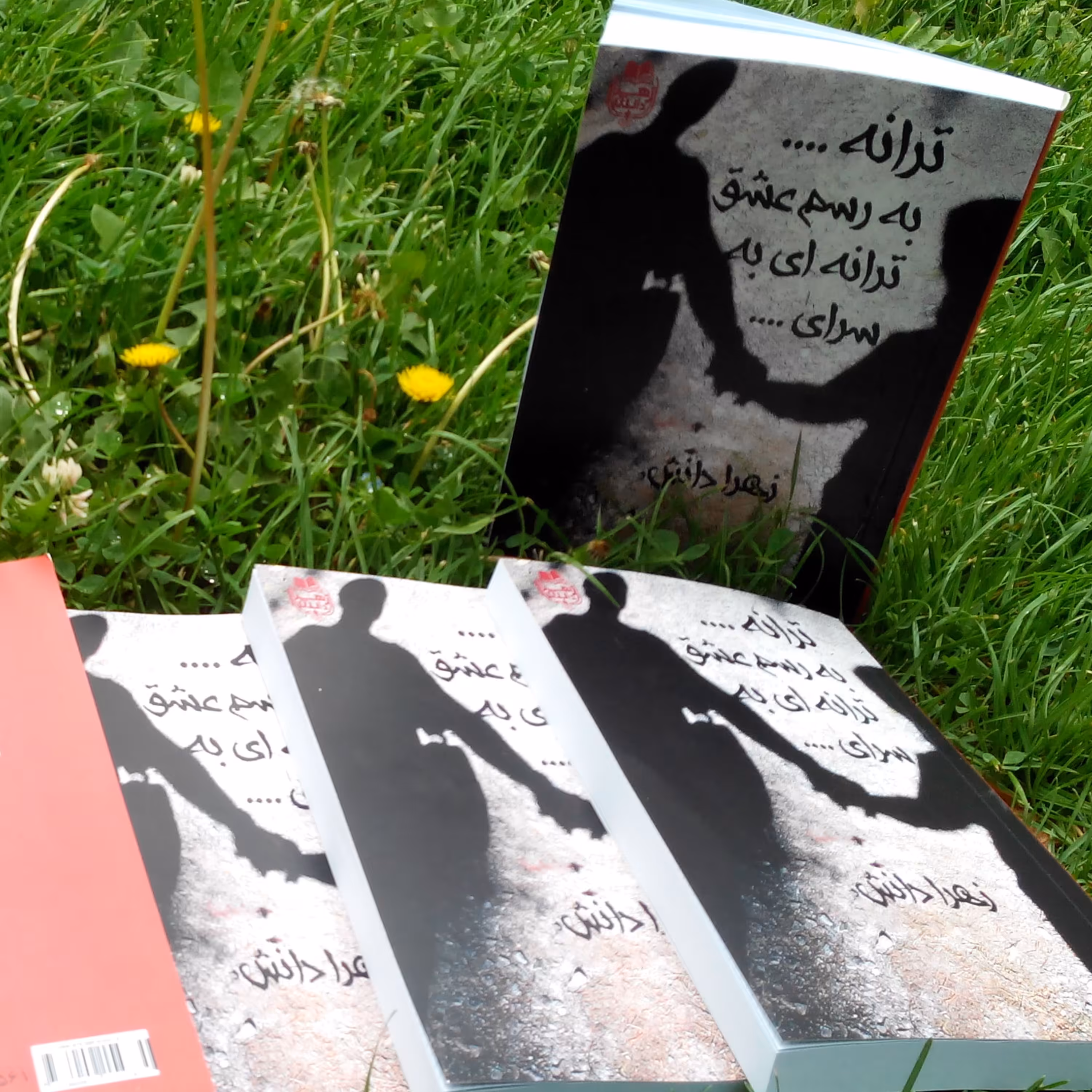 کتاب رمان به رسم عشق ترانه ای به سرای به قلم زهرا دانش رمان عاشقانه اجتماعی