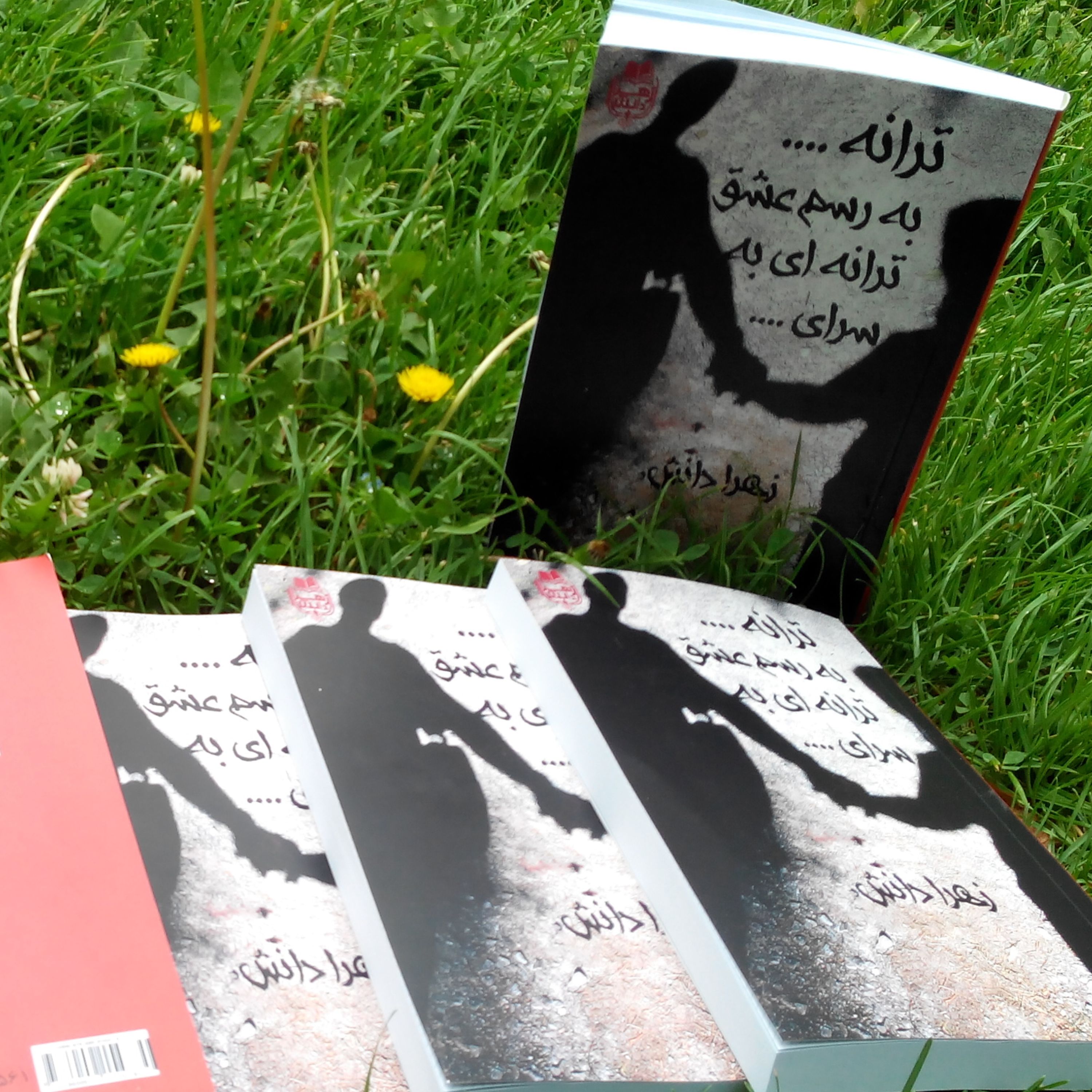 کتاب رمان به رسم عشق ترانه ای به سرای به قلم زهرا دانش رمان عاشقانه اجتماعی