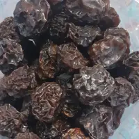 الو بخارا خورشتی سیاه تازه ی محصولات خانگی و درجه یک شیوا