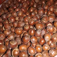 فندق با پوست ایرانی امساله (نیم کیلویی)