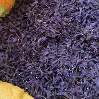 گل گاو زبان اصل