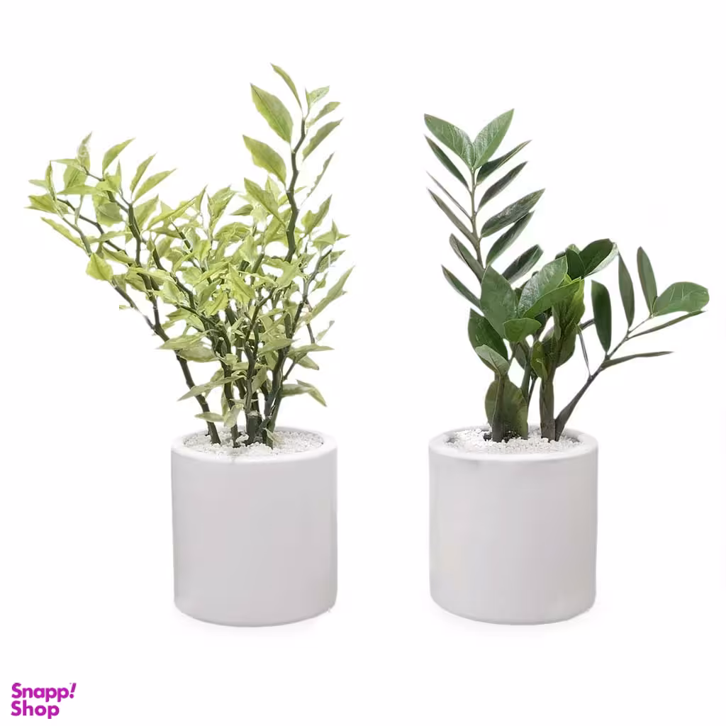 پکیج گلدان مدل سبز تاینی