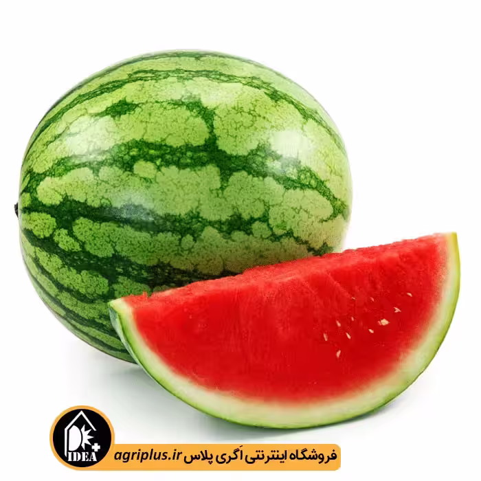 بذر هندوانه بسته بندی خانگی