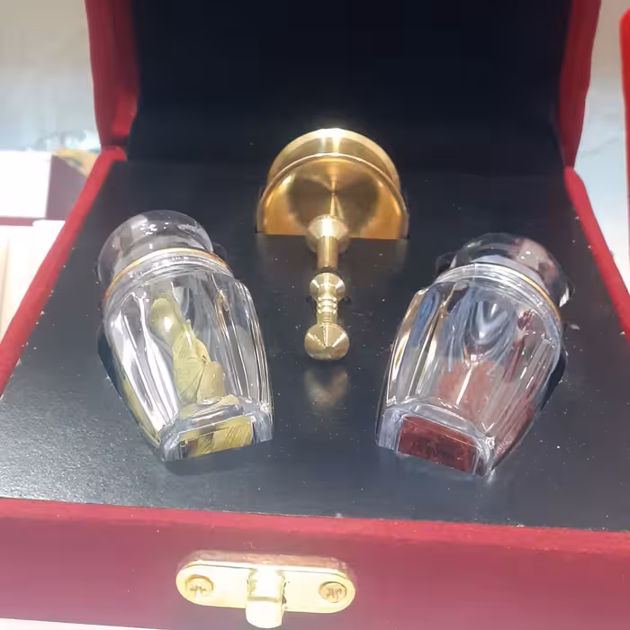 پک دو گوهر نقلی با جعبه مخمل