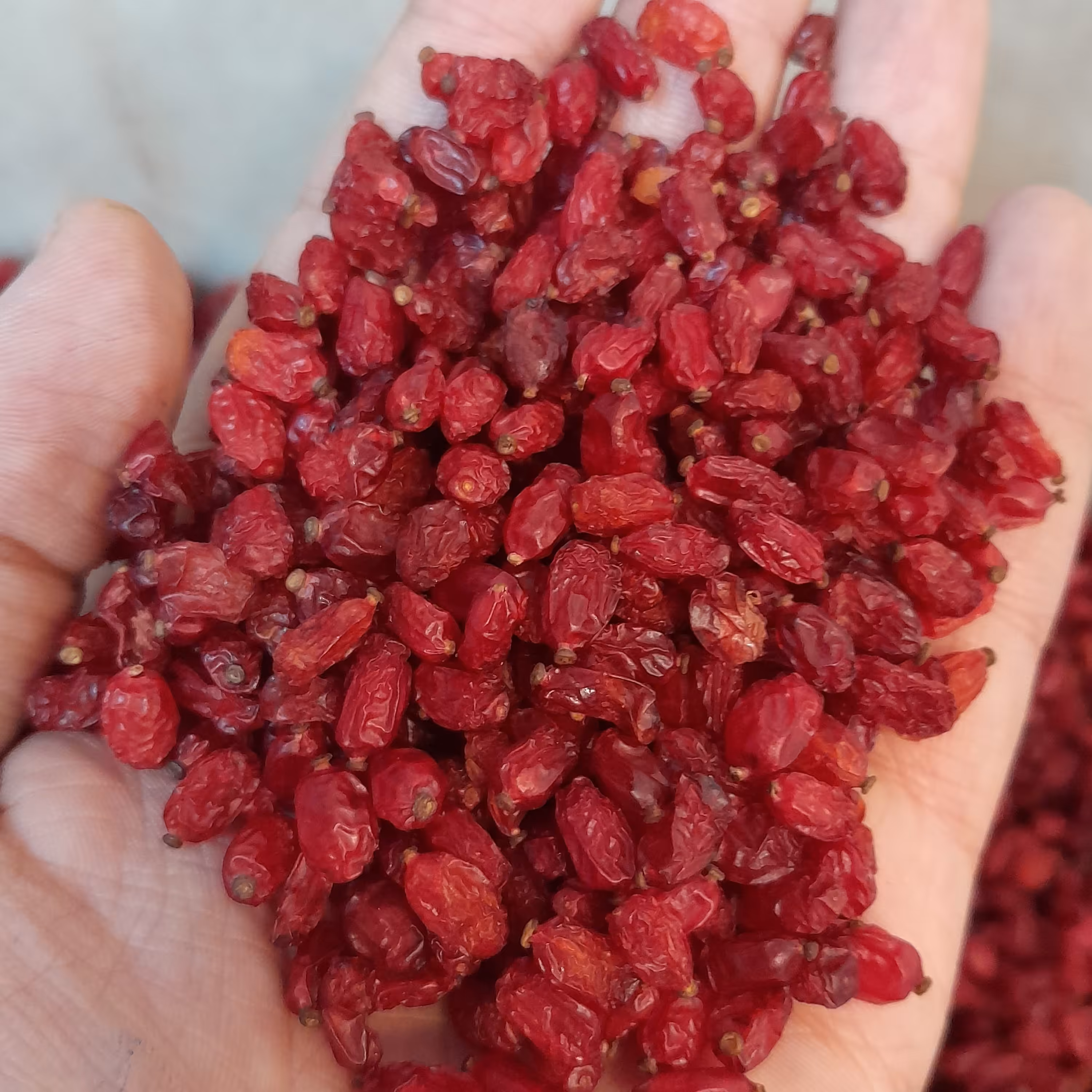 زرشک پفکی امسالی