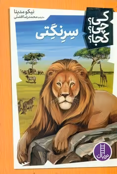 کتاب کی؟چی؟کجا؟11 اثر نیکو مدینا ترجمه محمدرضا افضلی