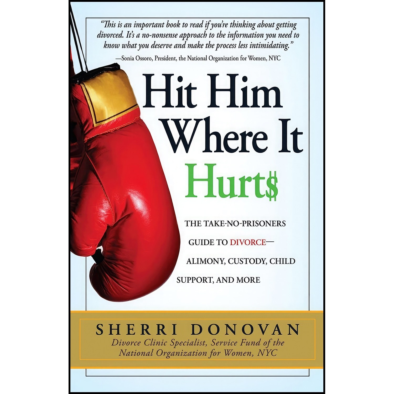 کتاب زبان اصلی Hit Him Where It Hurts اثر Sherri Donovan and Sherri Donovan