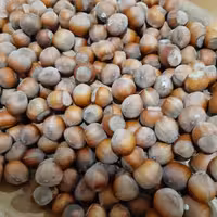 فندق درجه 1 اشکورات محصول شهریور امسال به صورت عمده