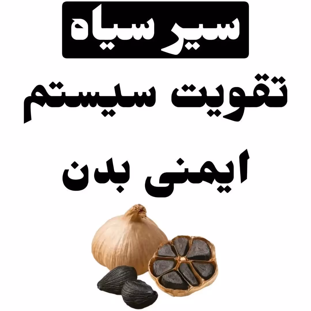 سیر سیاه پر از خاصیت و فایده برای بدن