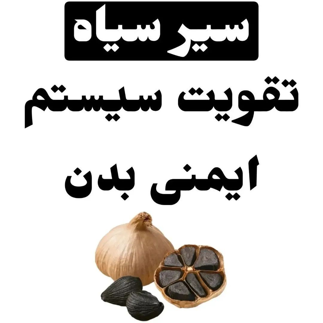 سیر سیاه پر از خاصیت و فایده برای بدن