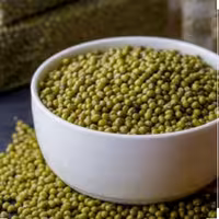 ماش محلی فدک شعبه 5 (600گرم)