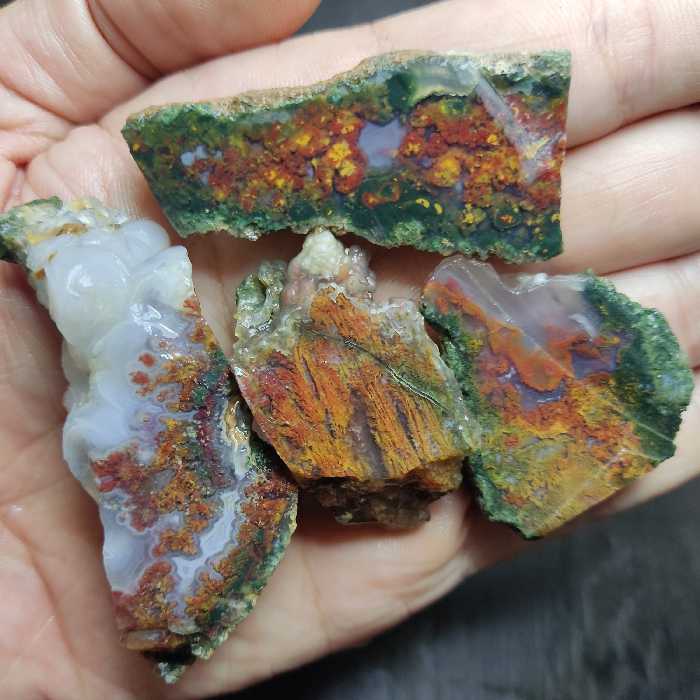 پک چهار تایی سنگ راف شجر منظره و دریایی یا پاییزی با رنگهای خیلی زیبا و دل نشین 