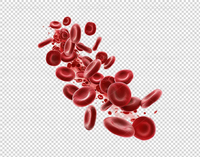 عکس PNG گلبول های قرمز | گرافیک با طعم تربچه
