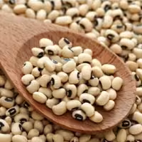 لوبیا چشم بلبلی محلی لرستان زود پز و سورت شده