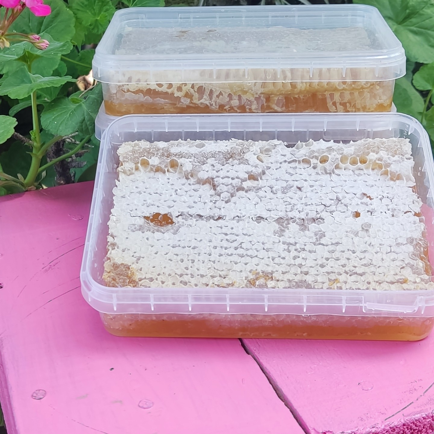 عسل با موم خوش رنگ و طعم 
