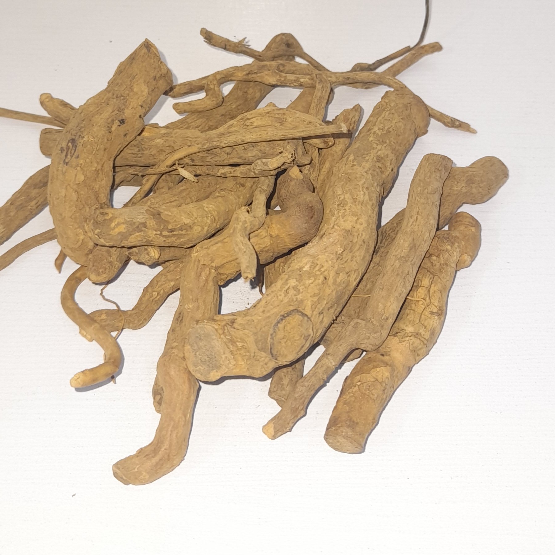 گیاه اسرول،ریشه گیاه اسرول،به عنوان پایین آورنده فشار خون و مسکن درد استفاده می شود

