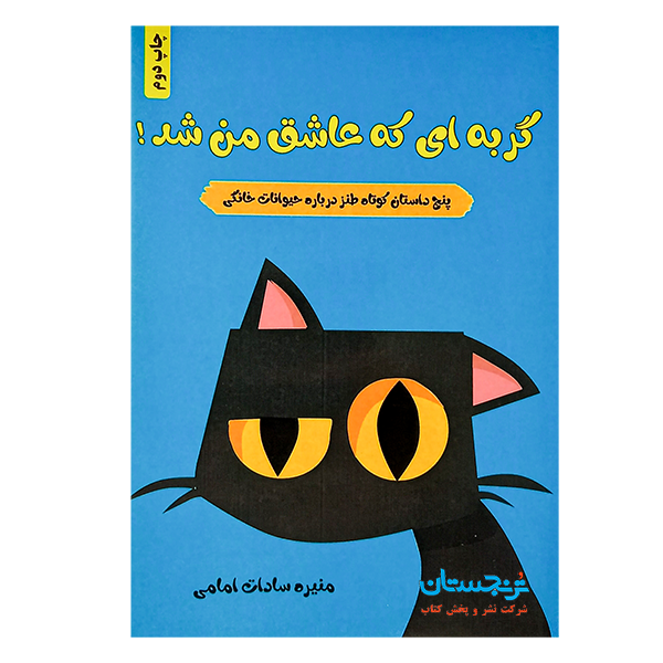 کتاب «گربهای که عاشق من شد» نوشته منیره سادات امامی/ انتشارات مانیان