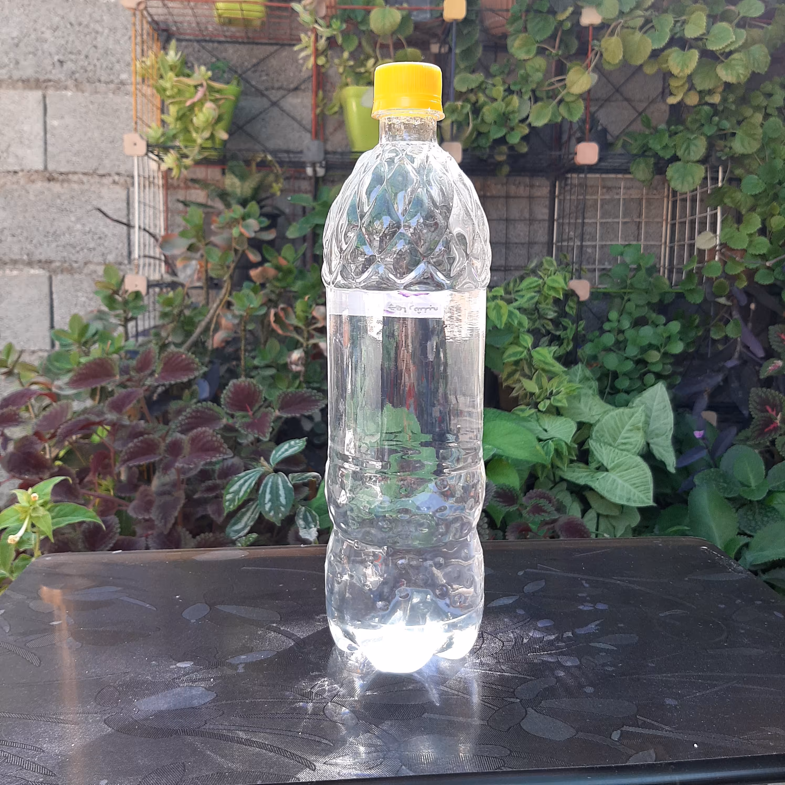 عرق زنیان یک لیتری