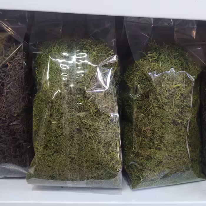 سبزی خشک شوید اعلاء 100 گرمی 